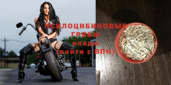 скорость mdpv Ельня