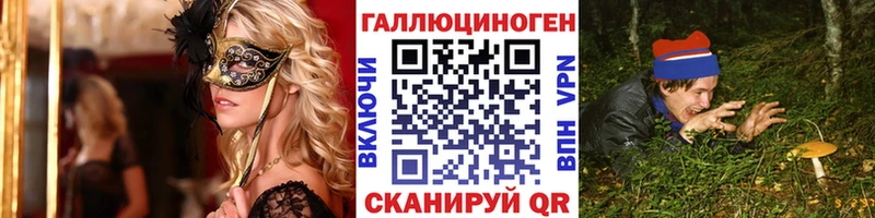 Купить закладки  Заволжск  Псилоцибиновые грибы Psilocybe 